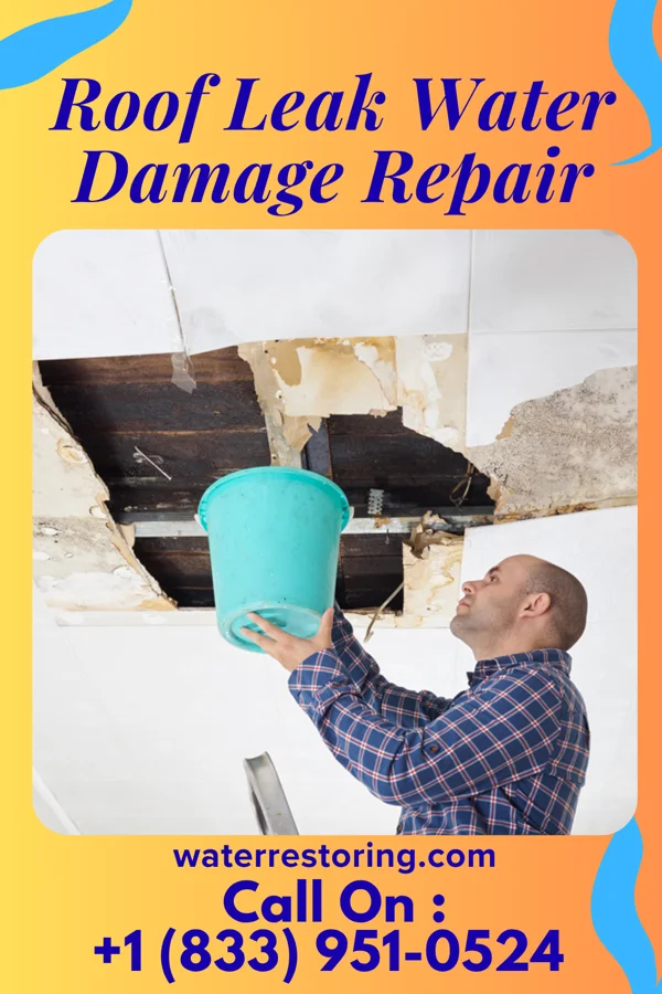 Roof Leak Water Damage Repair in Milford, MO
